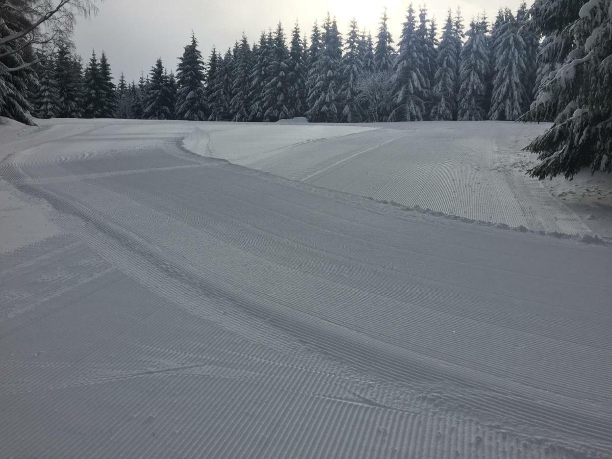 Penzion U Rybníka Mariánská Exterior foto